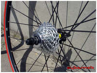 Shimano 105 12-23 cassette mounted on the rear hub.